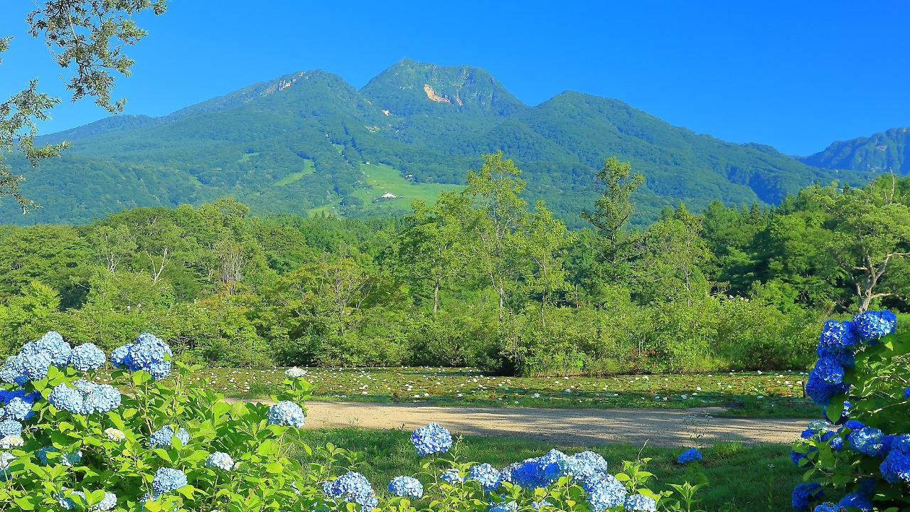 Ryokan Okayama Myoko Exteriör bild